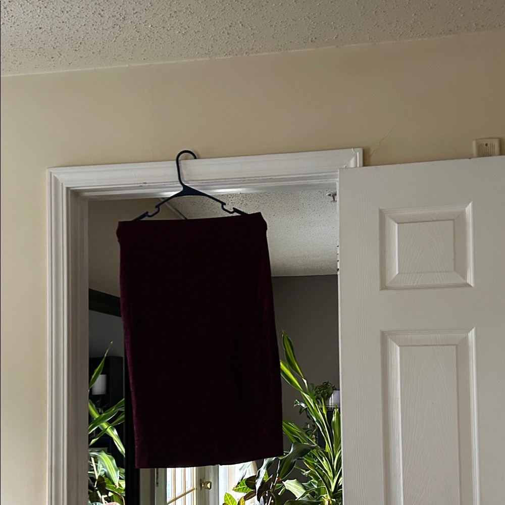Wild Fable Burgundy Skirt
